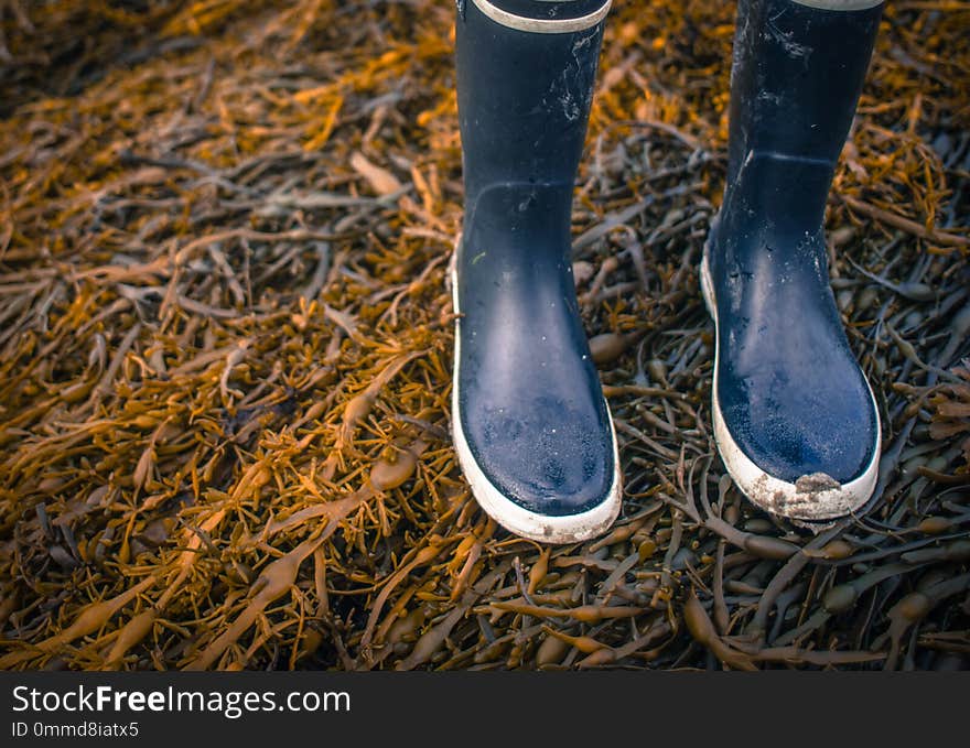 Retro Style Photo Of Wet Rubber Boots Walking On Seaweed On A Beach With Copy Space. Retro Style Photo Of Wet Rubber Boots Walking On Seaweed On A Beach With Copy Space