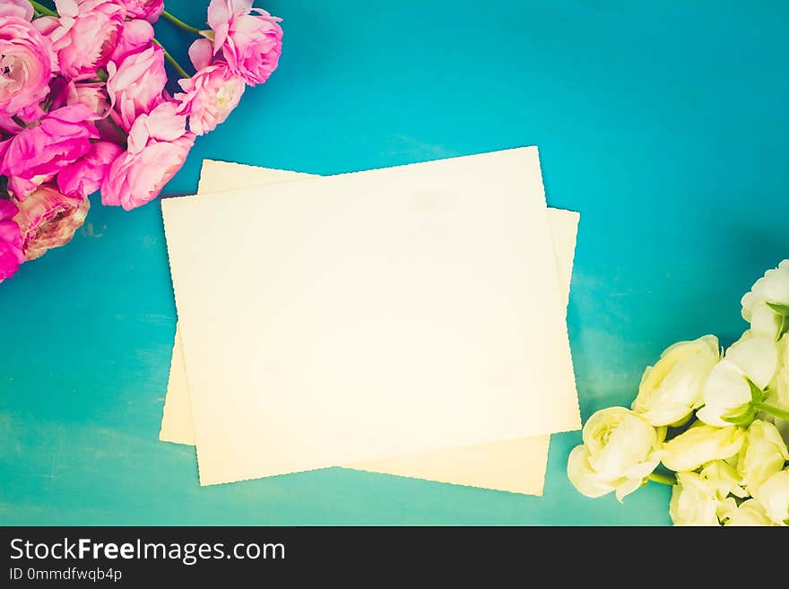 Pink and white ranunculus flowers on blue wooden background with copy space on blank paper notes, retro toned