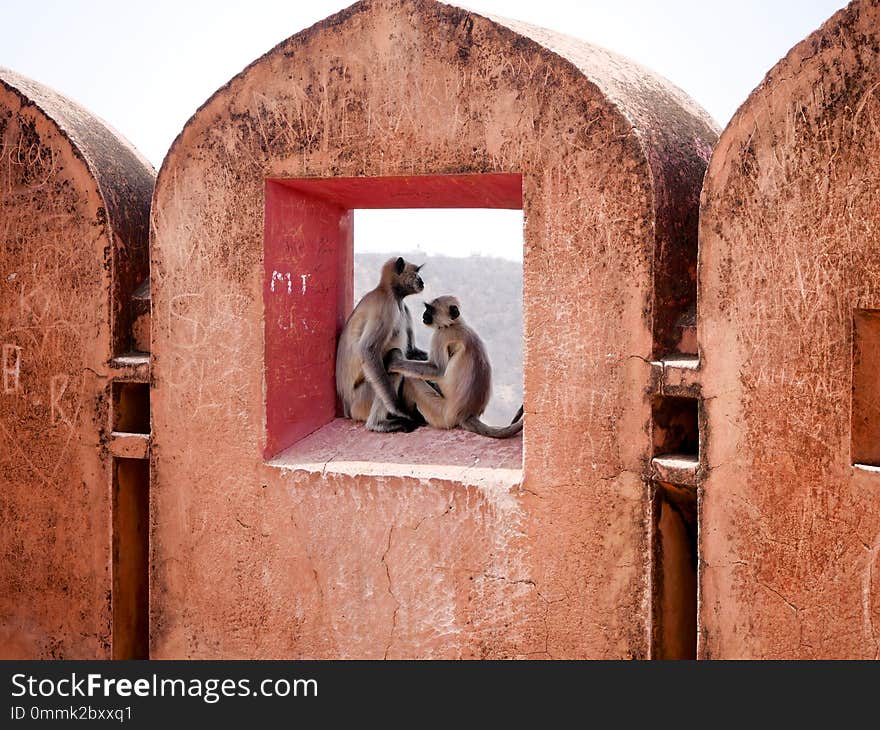 Wilde In Love in Jaigarh Fort