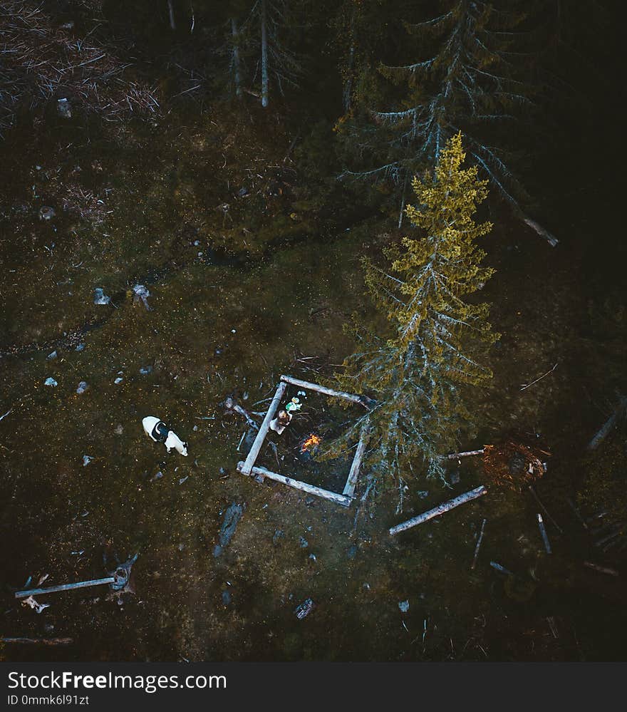 Girl and her horse camping in the forest