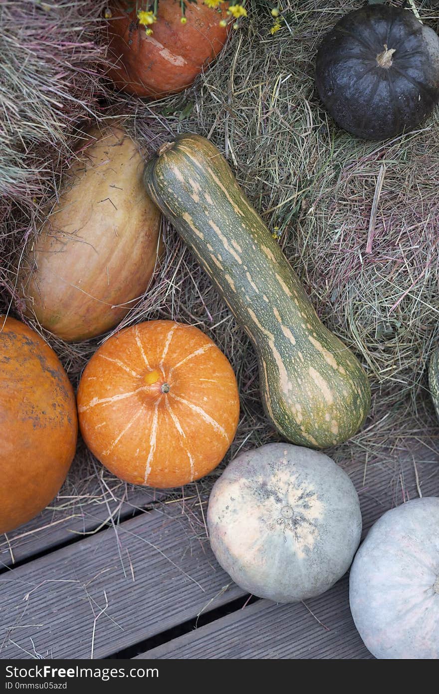 Autumnal composition of pumpkins with hay at wood background