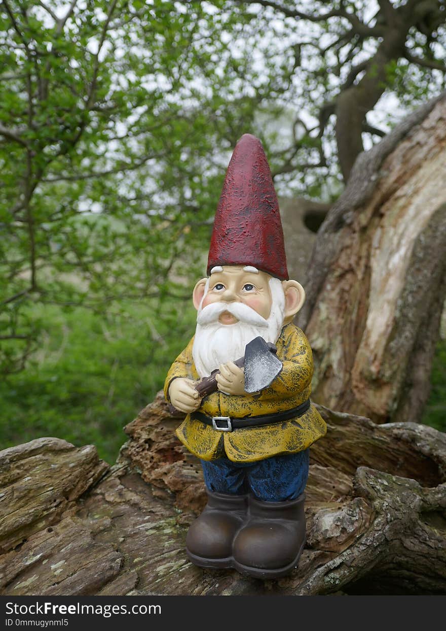 Garden Gnome in the forest