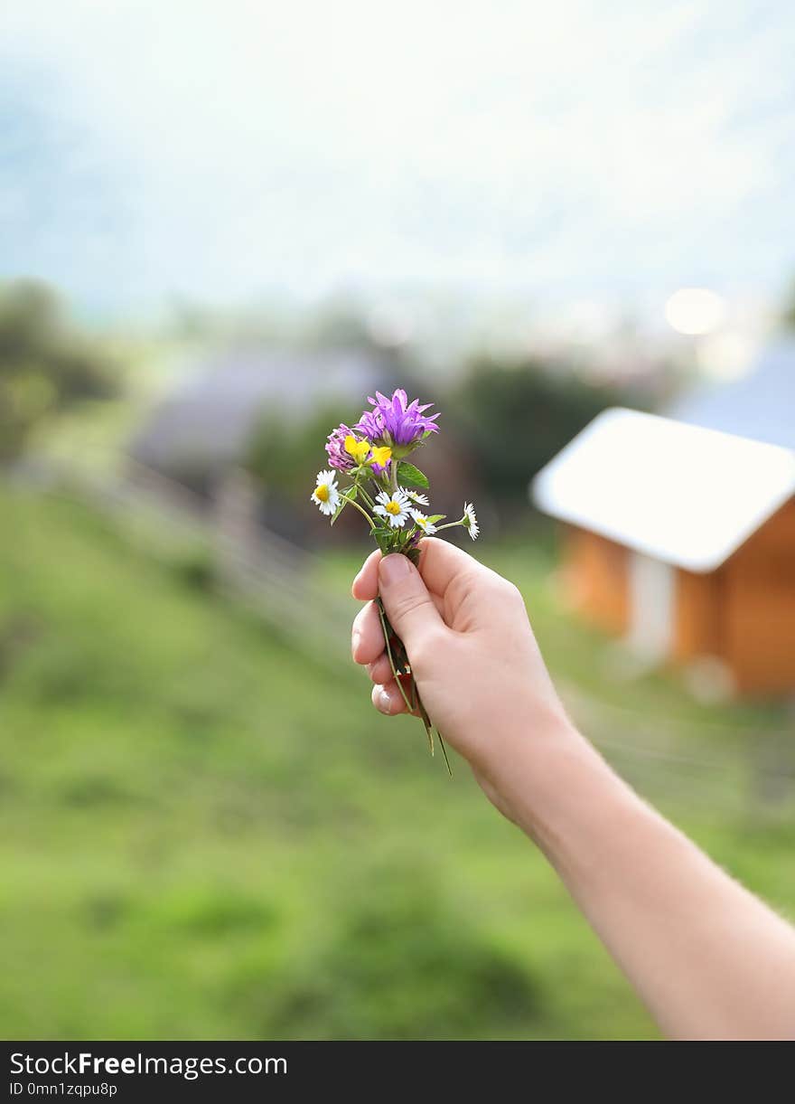 Woman holding bouquet of beautiful meadow flowers against blurred background