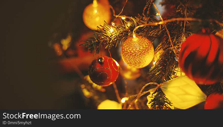 Christmas Decoration Hanging In Tree