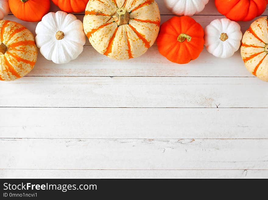 Autumn top border of orange, white and striped pumpkins on a white wood background. Top view with copy space. Autumn top border of orange, white and striped pumpkins on a white wood background. Top view with copy space.