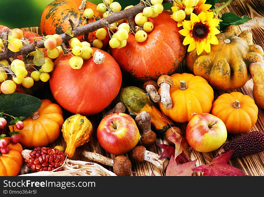 Autumn nature concept. Fall fruit and vegetables on wood. Thanks