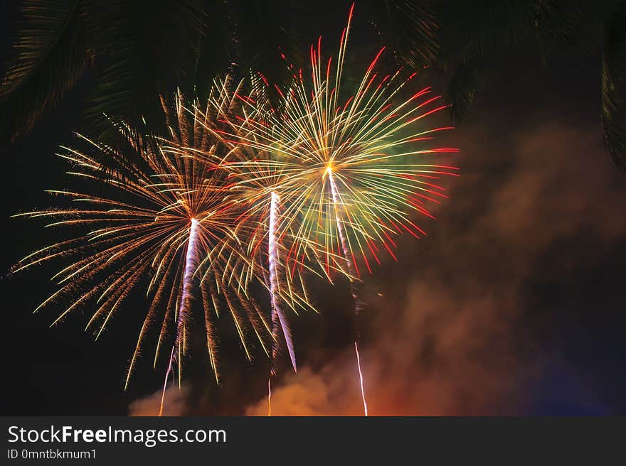 Abstract colored firework on dark sky background.