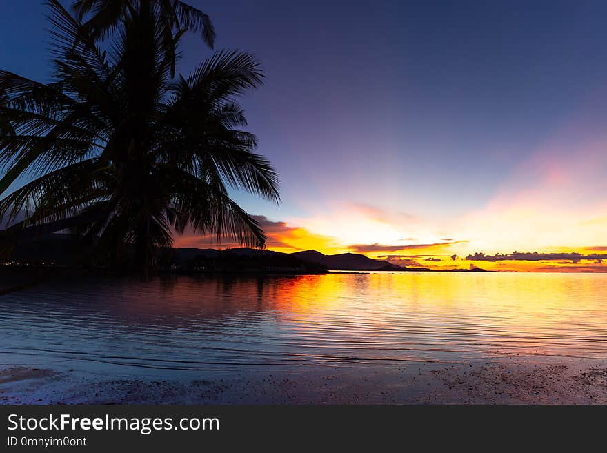 Silhouette coconut palm tree with sunset over the sea in koh samui island