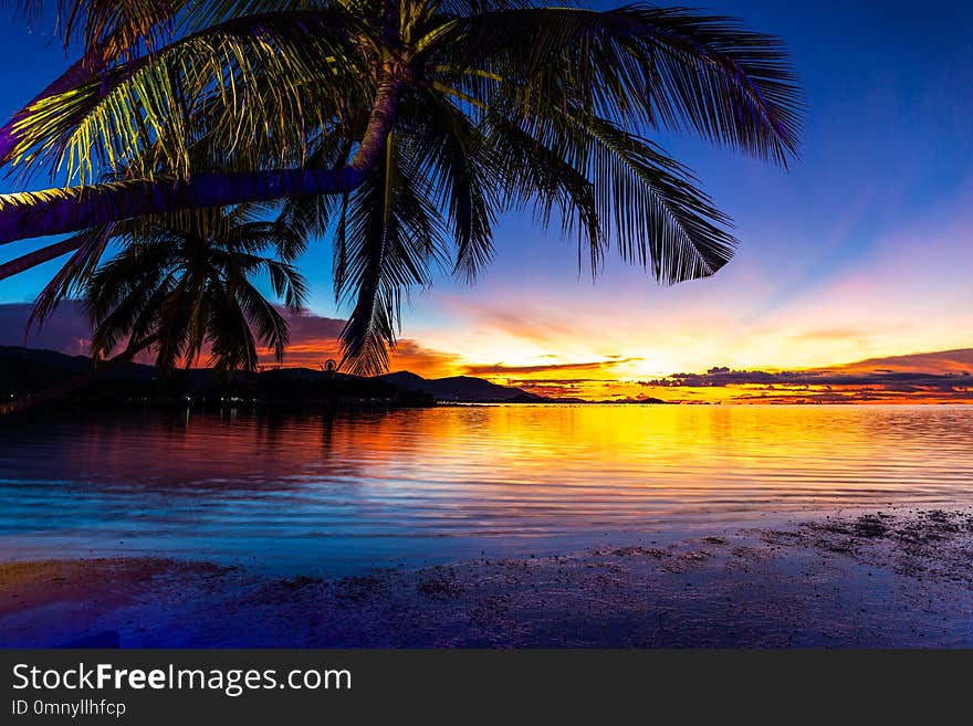 Beautiful colorful sunset with coconut palm tree on the beach in koh samui thailand