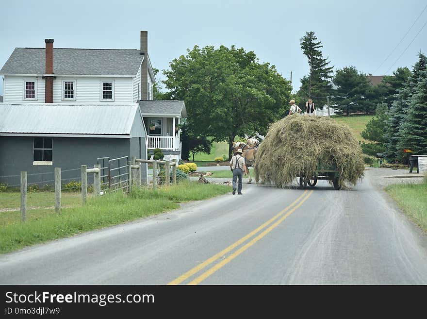 Road, Lane, House, Residential Area