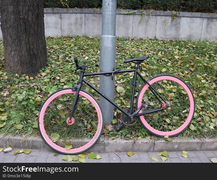 Bicycle, Road Bicycle, Bicycle Frame, Bicycle Wheel