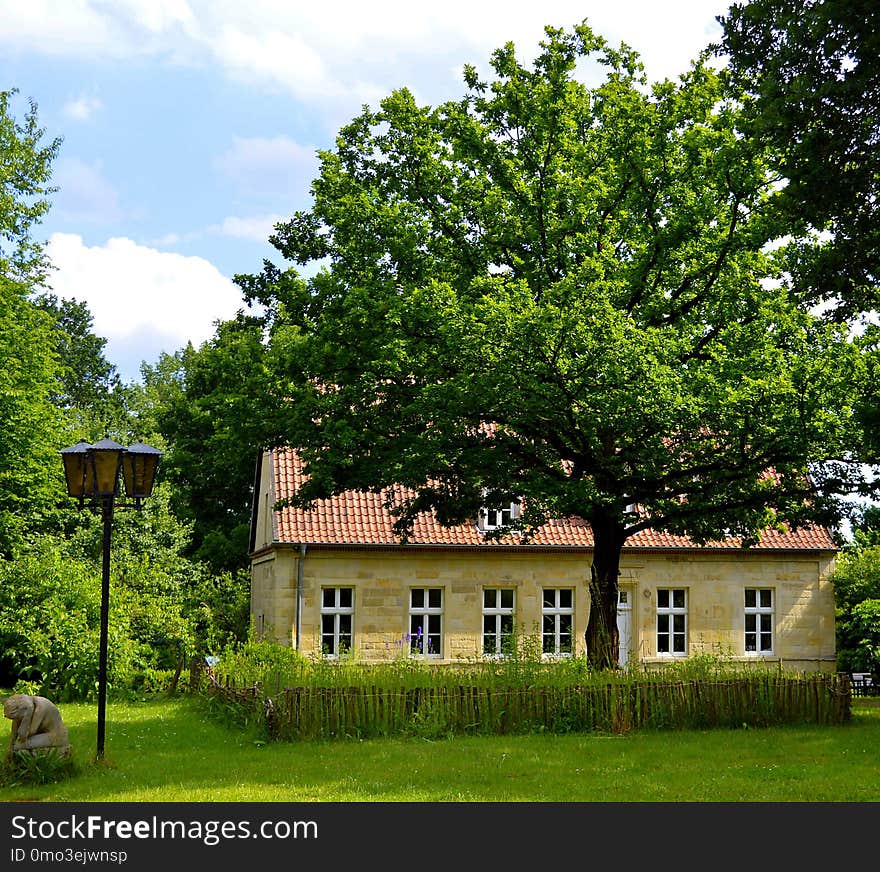 Nature, Tree, House, Estate