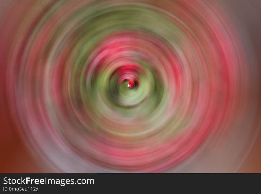 Close Up, Circle, Macro Photography, Spiral