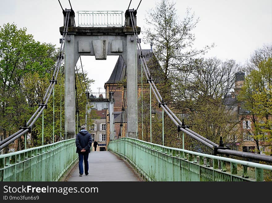 Bridge, Suspension Bridge, Tree, Tourist Attraction