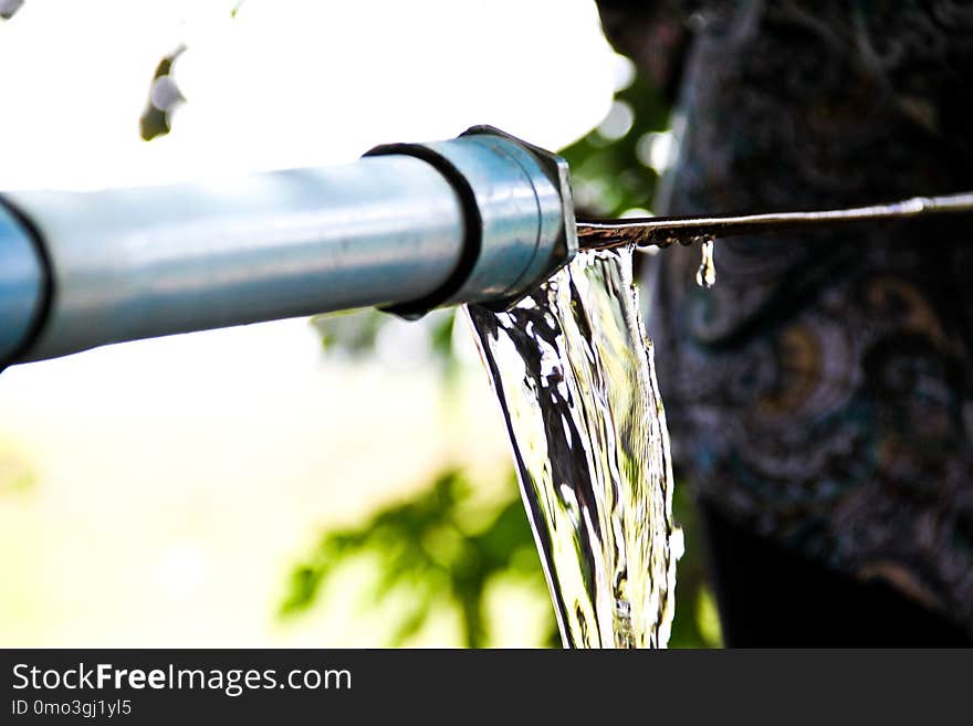 Water, Tree, Fishing Rod