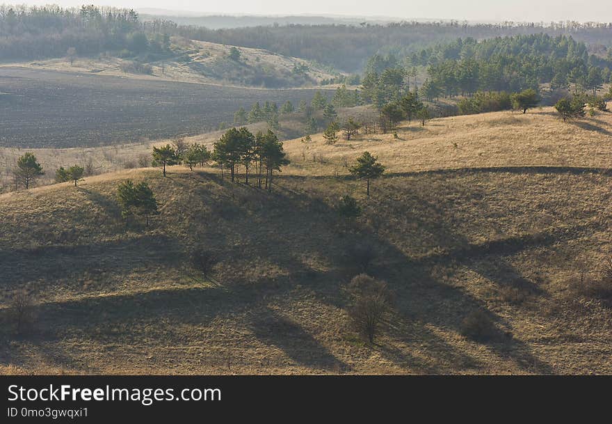 Hill, Tree, Escarpment, Rural Area