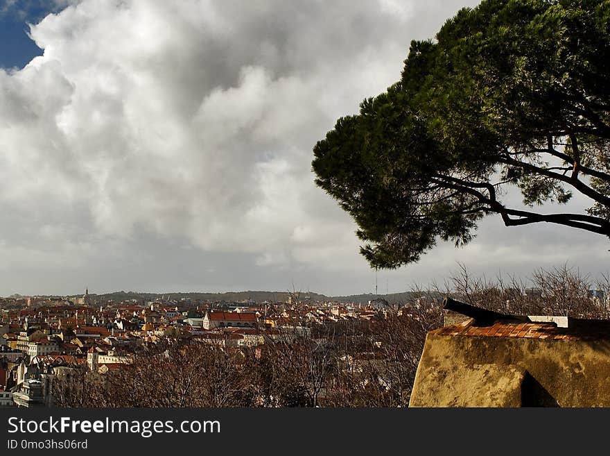 Sky, Cloud, Tree, Town