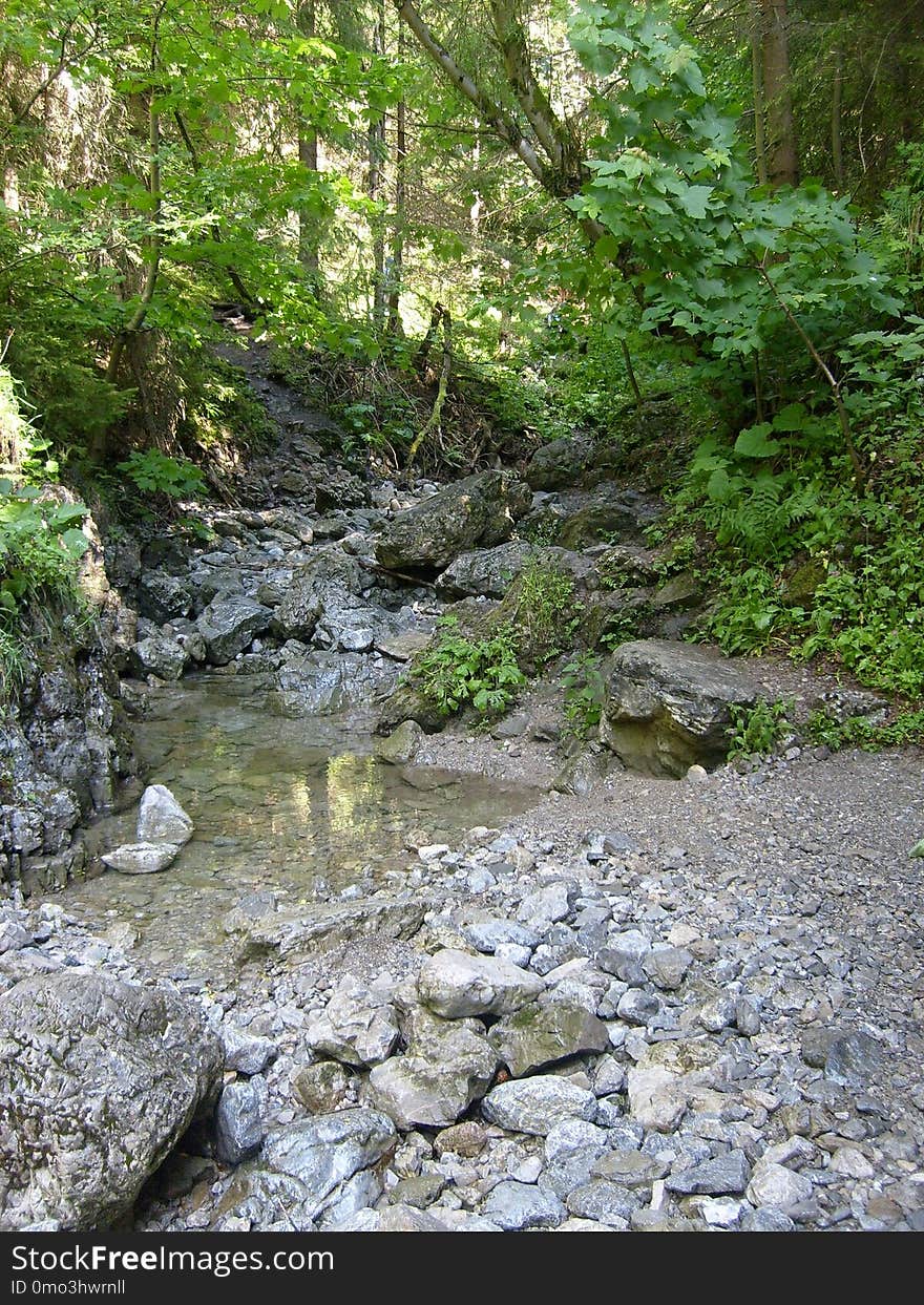 Water, Stream, Creek, Nature Reserve