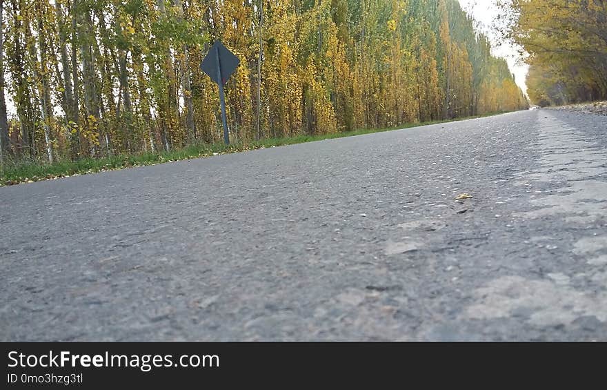 Road, Asphalt, Path, Road Surface