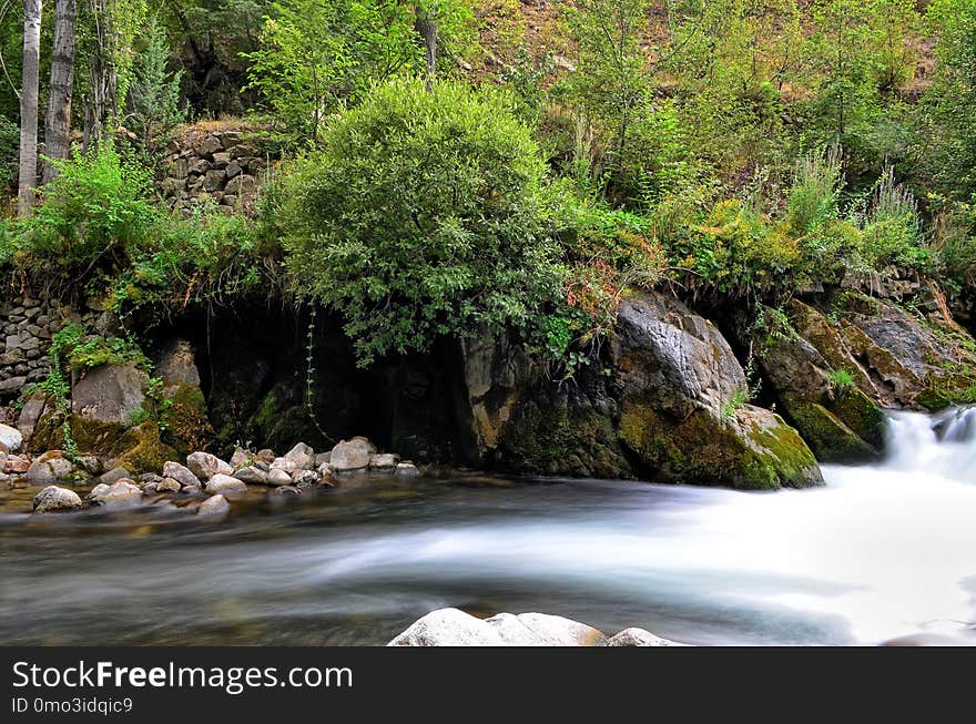 Water, Nature, Vegetation, Body Of Water