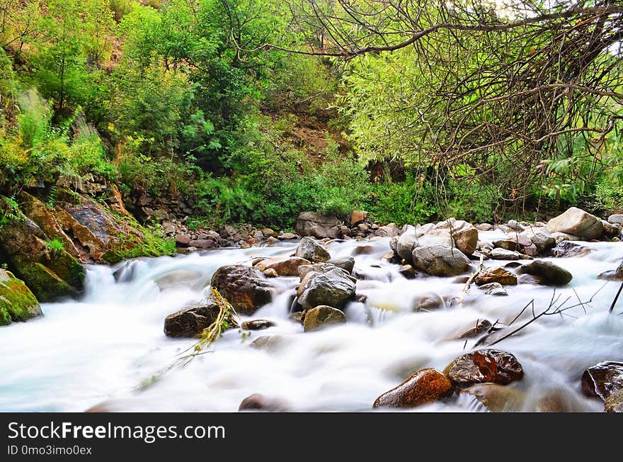 Water, Stream, Nature, Body Of Water