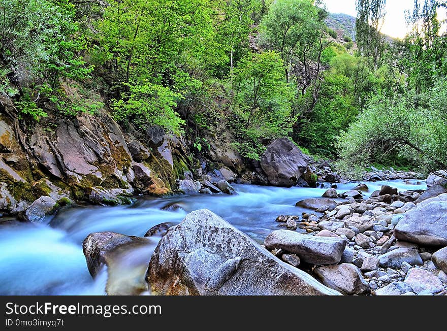 Water, Stream, Nature, Body Of Water