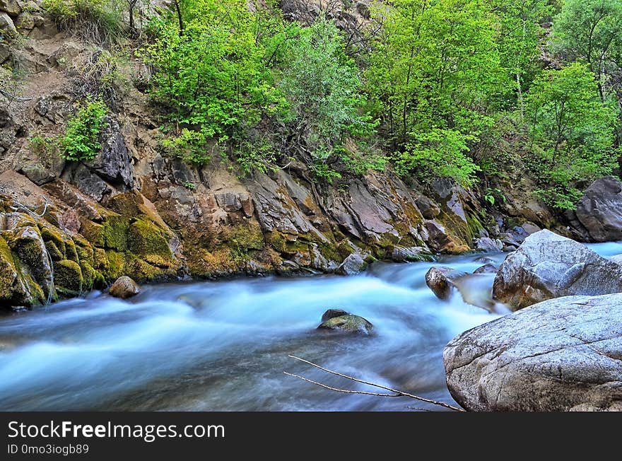 Water, Stream, Nature, Watercourse