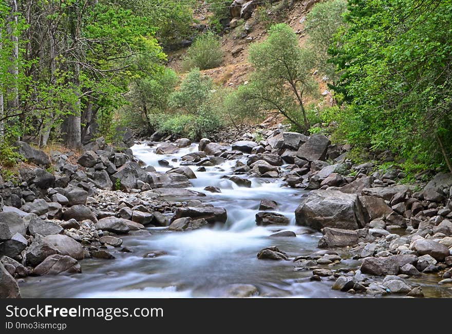 Stream, Water, Nature, Body Of Water