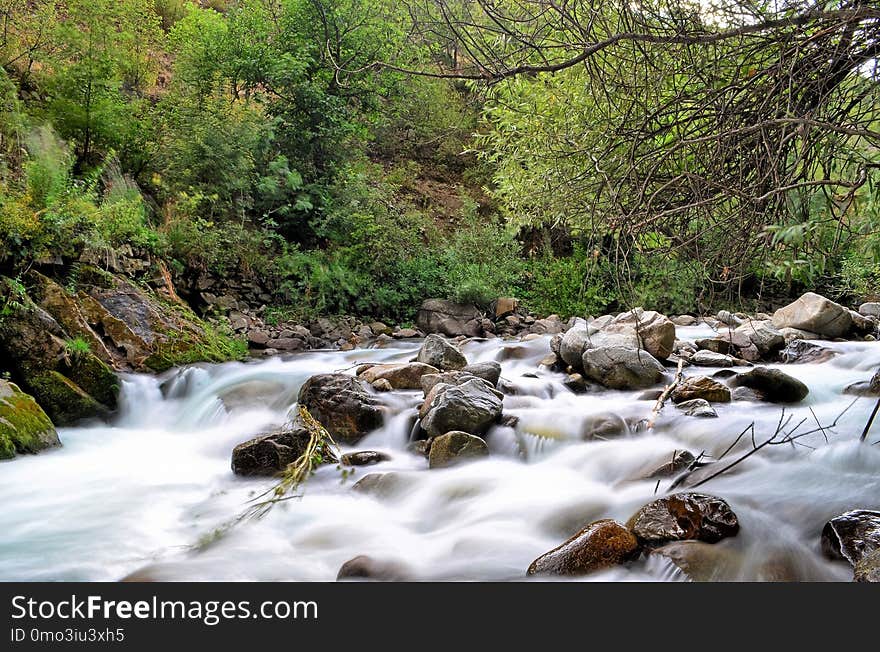 Water, Stream, Nature, Body Of Water