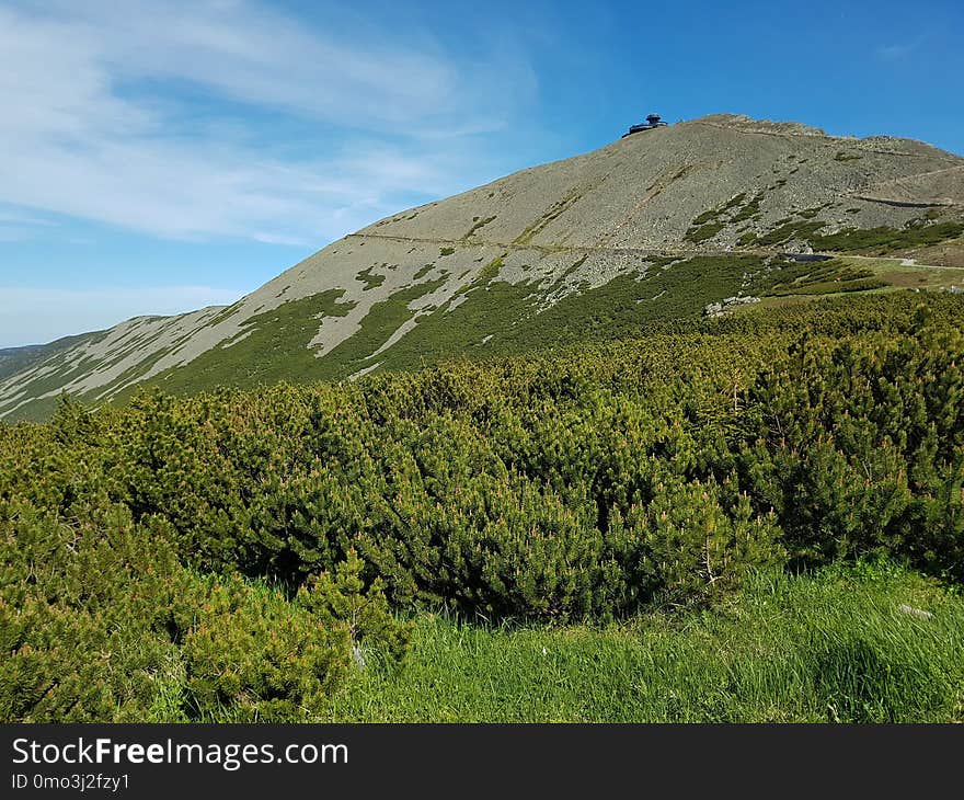 Highland, Vegetation, Mountainous Landforms, Wilderness