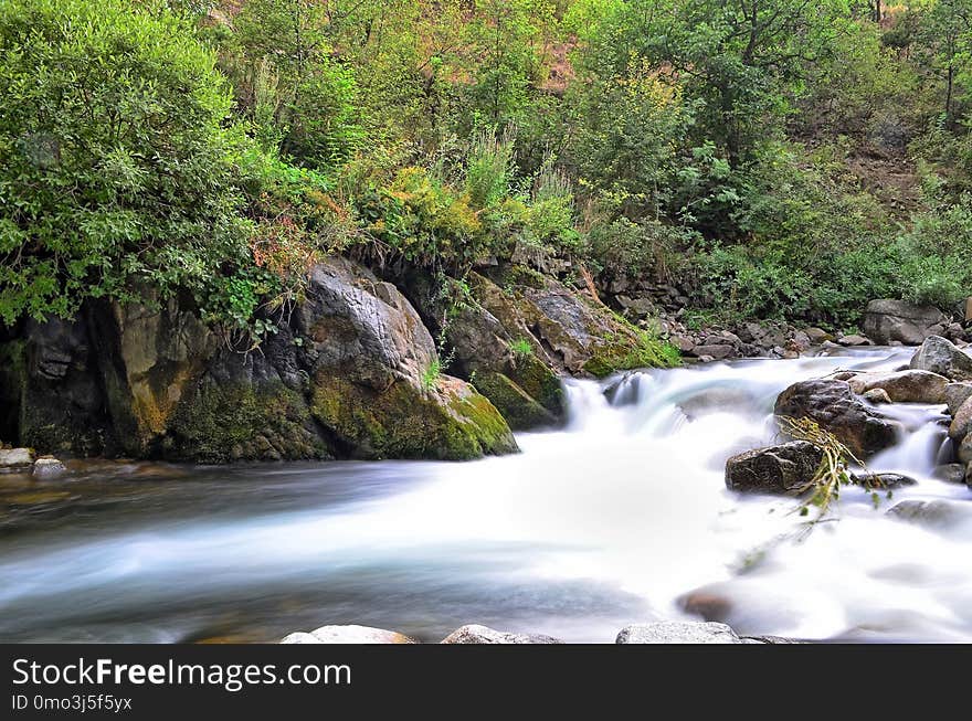 Water, Nature, Stream, Water Resources