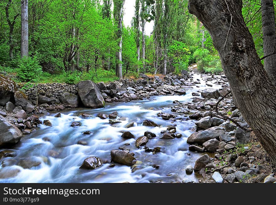 Stream, Water, Nature, Body Of Water