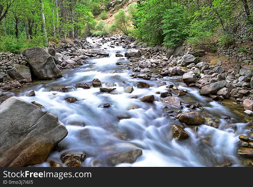 Stream, Water, Nature, Creek