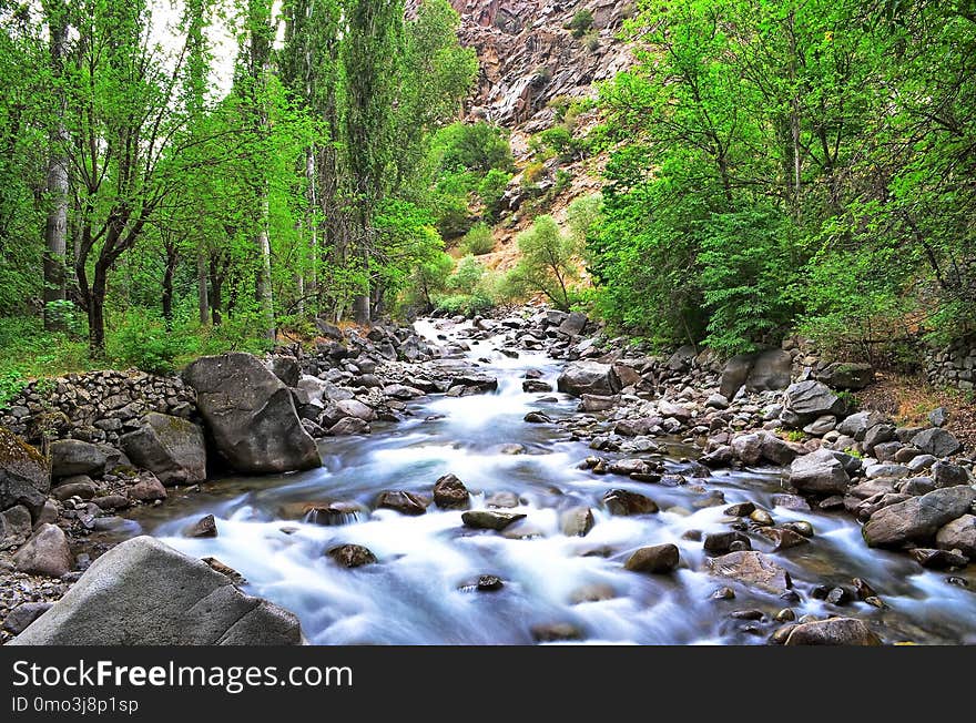 Water, Stream, Nature, Body Of Water