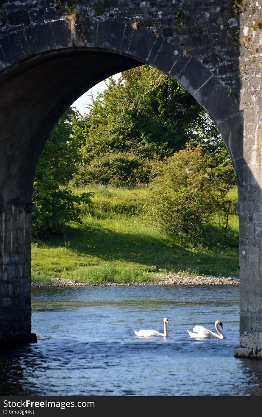 Waterway, Water, Reflection, Arch