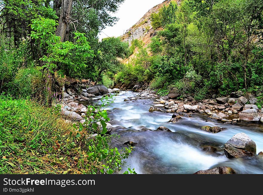 Water, Stream, Nature, Watercourse