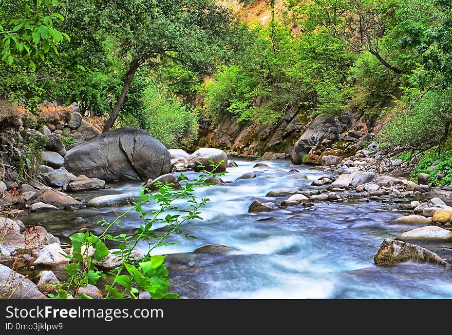 Stream, Water, Nature, Watercourse