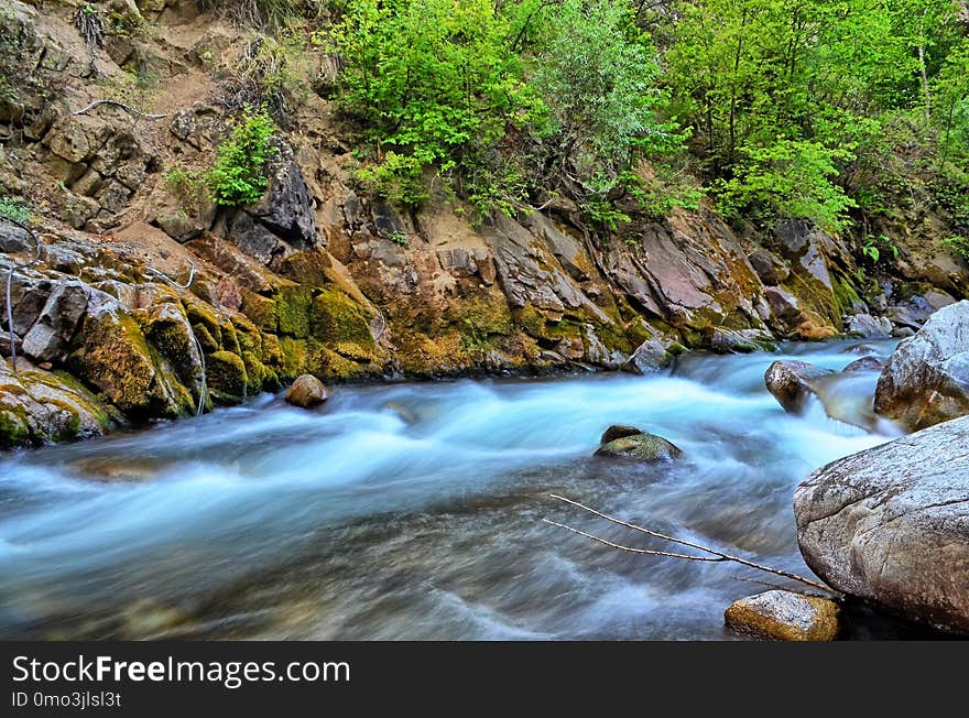 Water, Stream, Nature, Watercourse