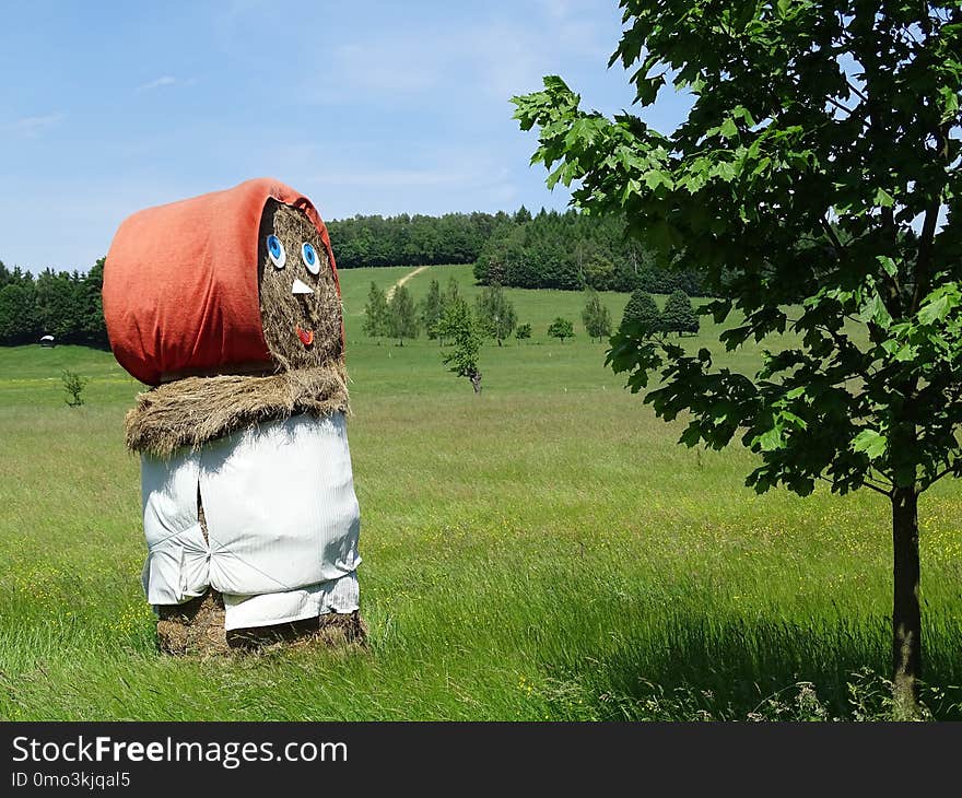 Grass, Tree, Rural Area, Field