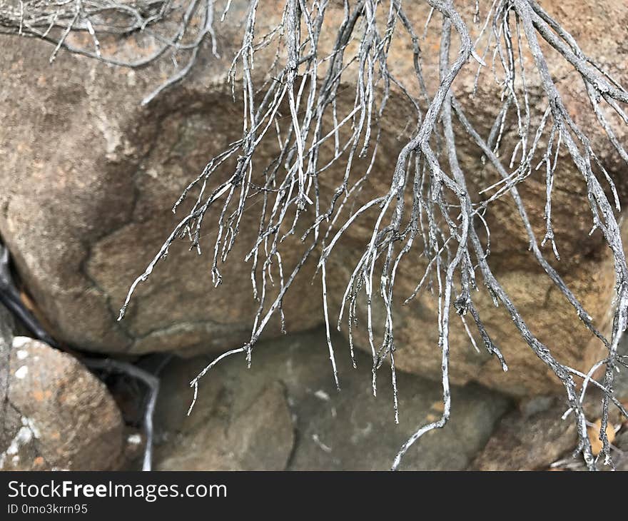 Water, Rock, Formation, Branch