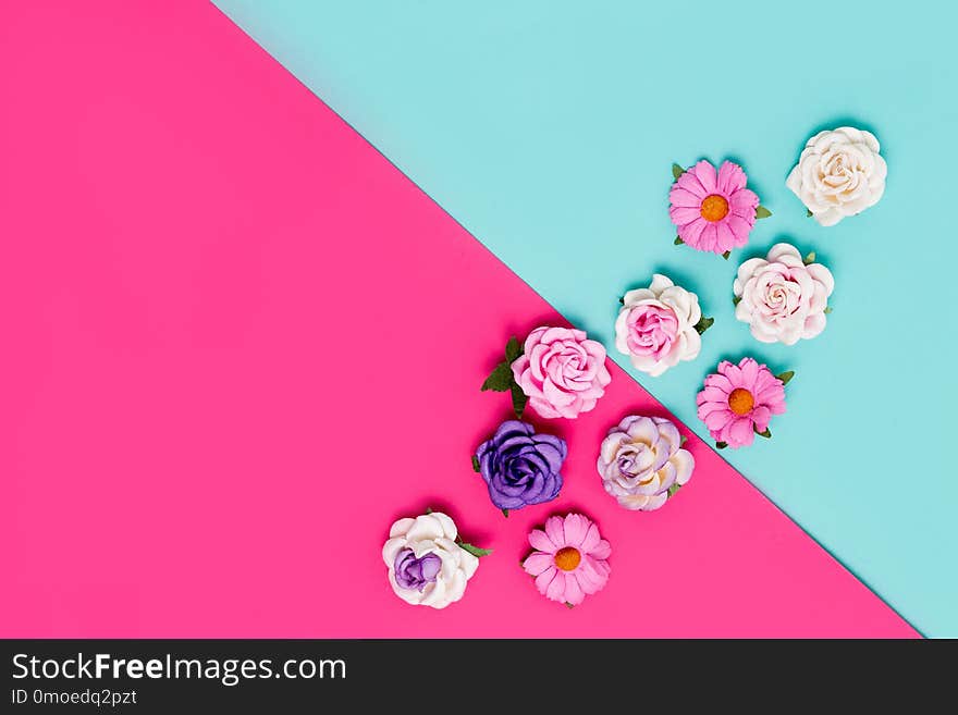 Horizontal colorful background with flowers. pink and blue, top view.