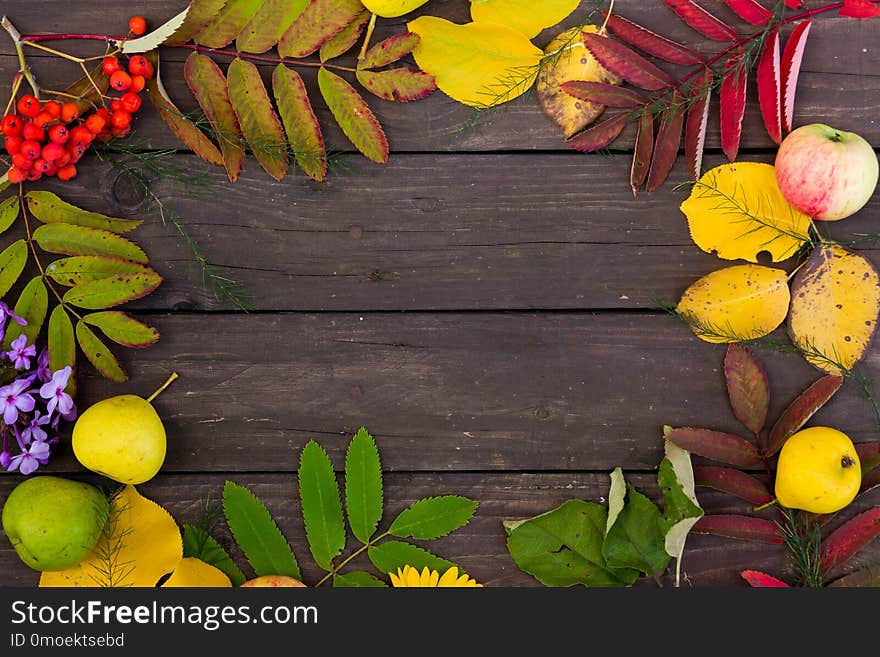 Beautiful frame of colorful autumn leaves, fruits and flowers on brown wooden background, top view. copy space