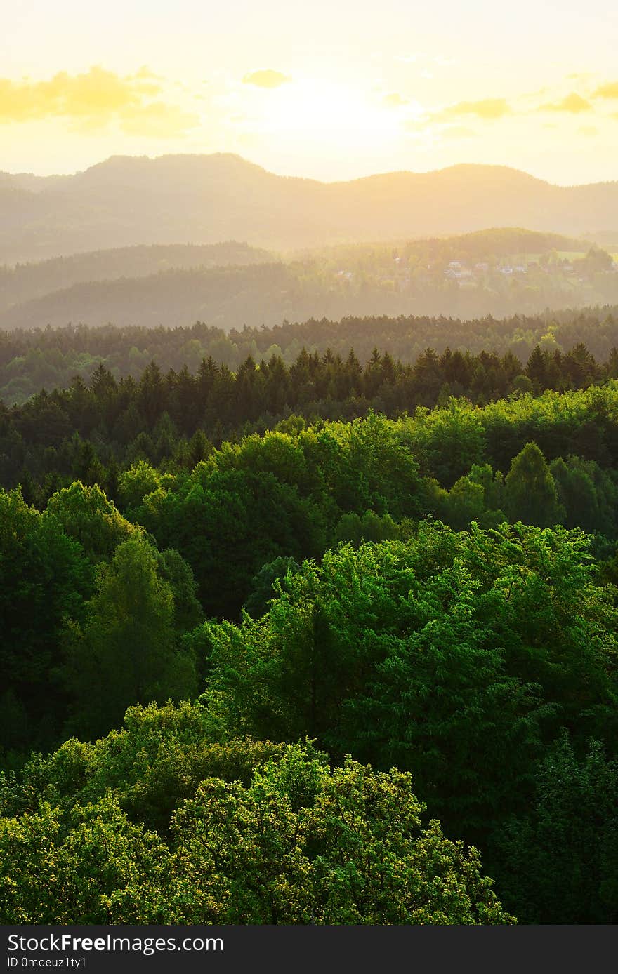 Morning landscape in Bohemian Switzerland, Czech Republic.