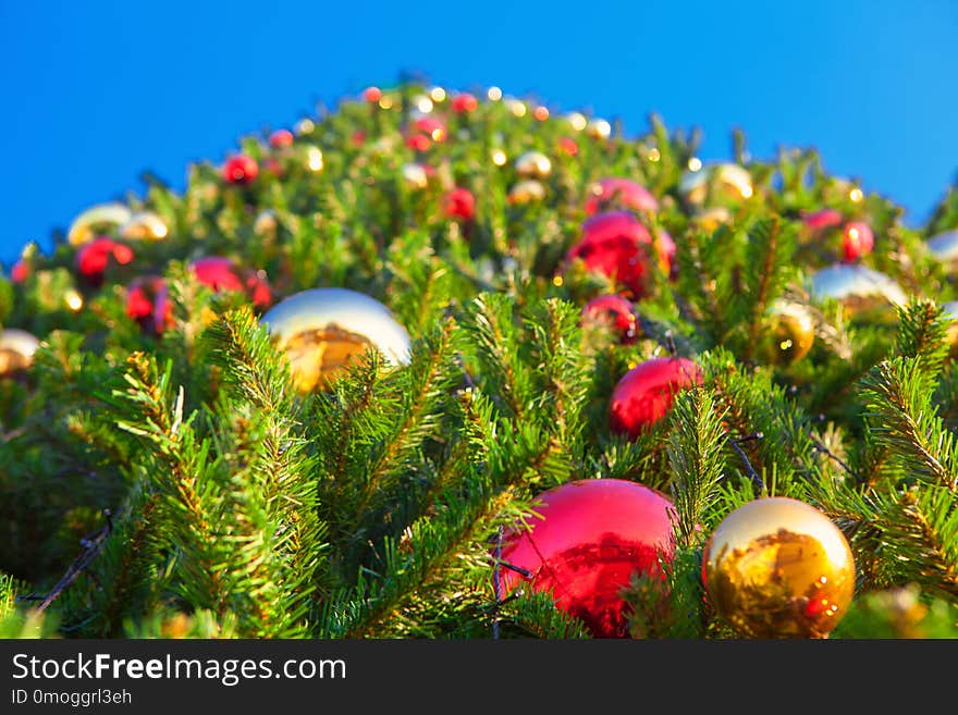 Christmas Tree With Decoration