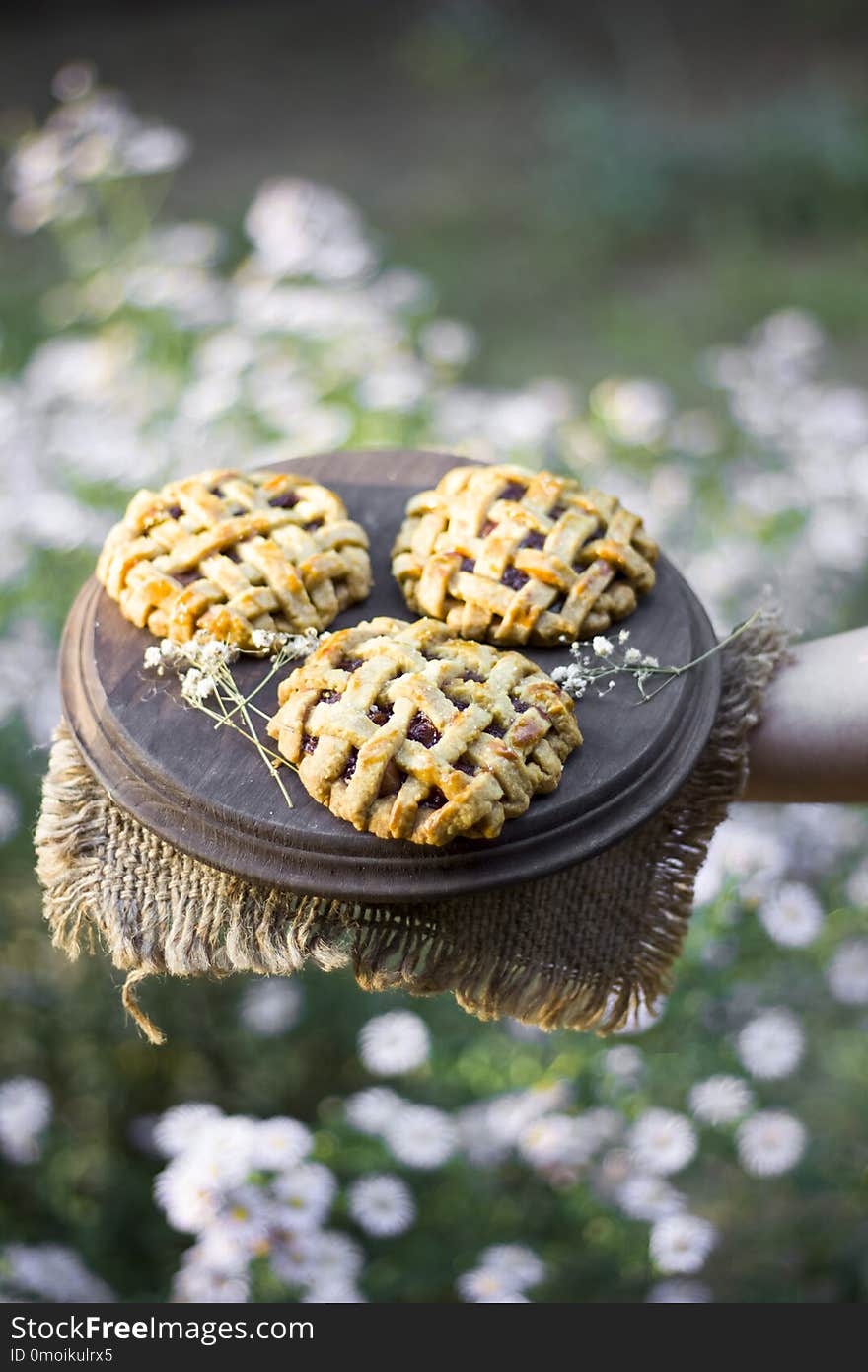 Woman holds homemade apple hand pie in her hand in the nature