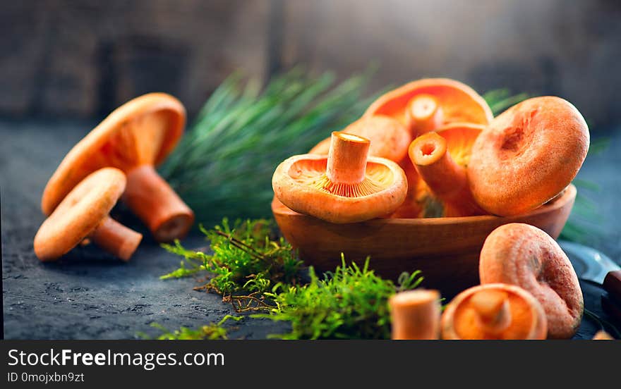 Raw wild Saffron milk cep mushrooms on dark old rustic background. Lactarius deliciosus. Rovellons, Niscalos. Organic mushrooms