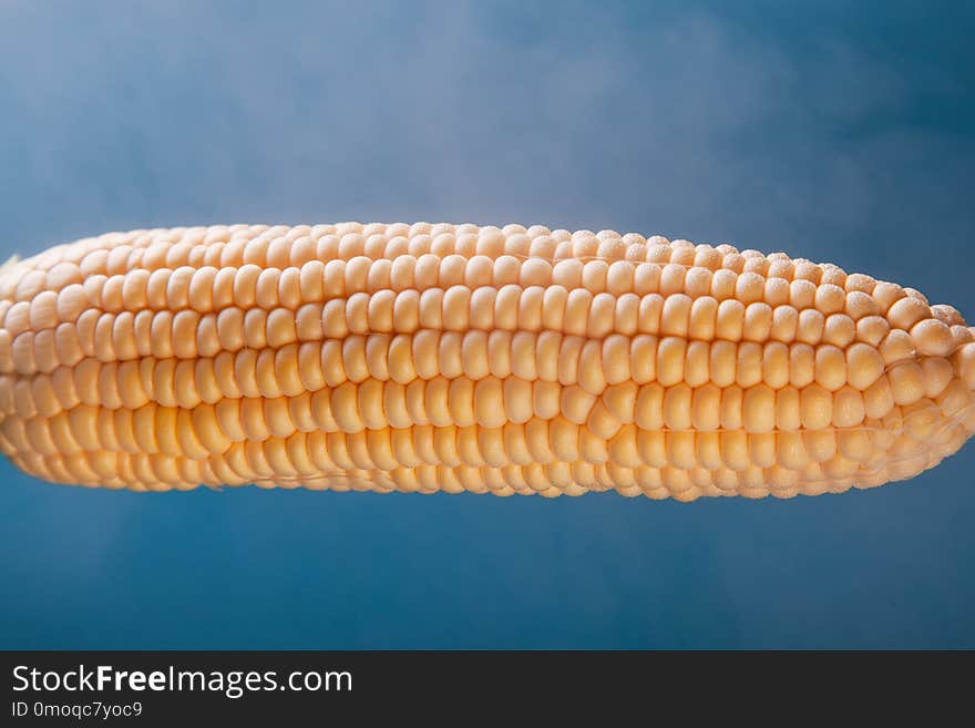 Tasty boiled corn steam on a blue background.