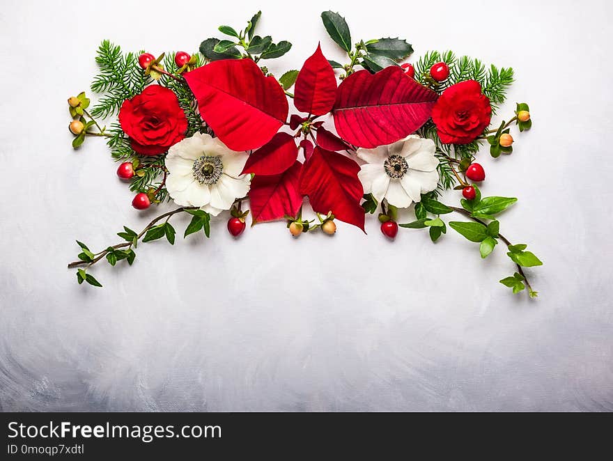 Christmas decoration with poinsettia, holly, ivy, mistletoe and fir branches on light background