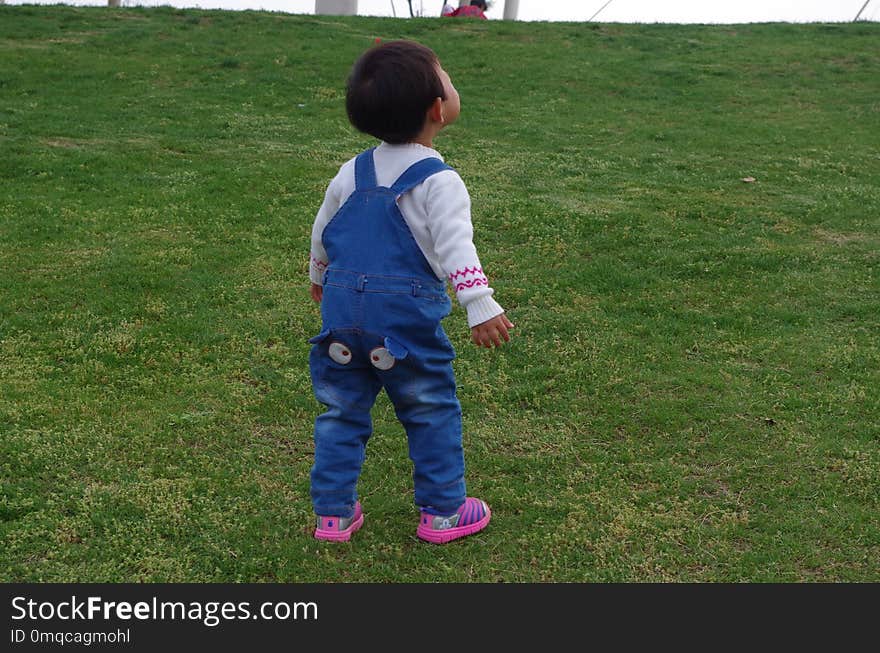 Child, Blue, Green, Grass