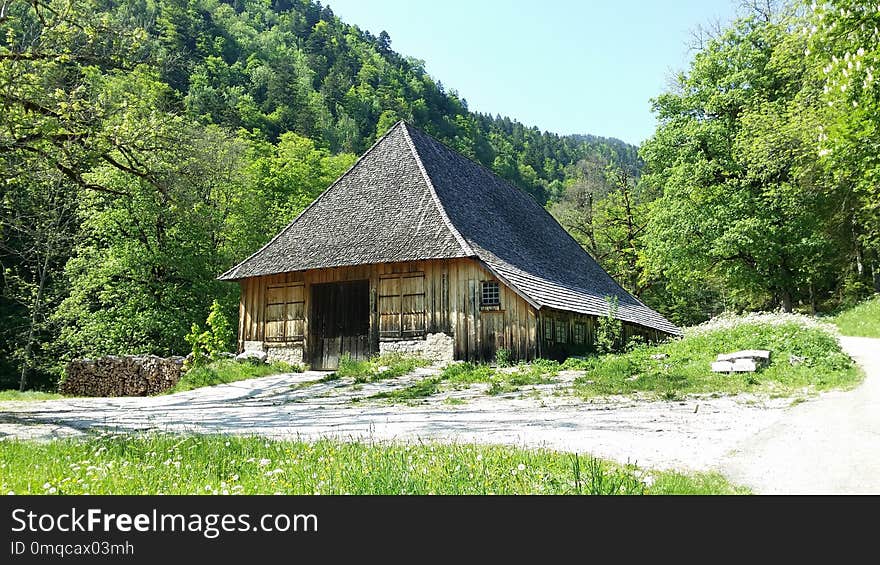 Hut, Tree, Thatching, Cottage